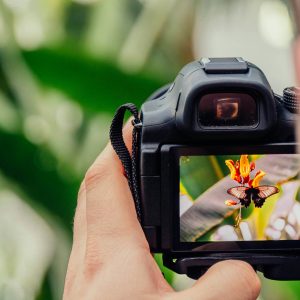 Digital Photography Contracts